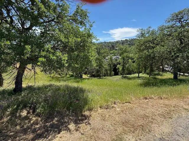 4319 Tomahawk Trail, Copperopolis, CA 95228 - #3