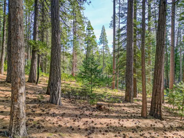 2625 Linnet Lane, Arnold, CA 95223