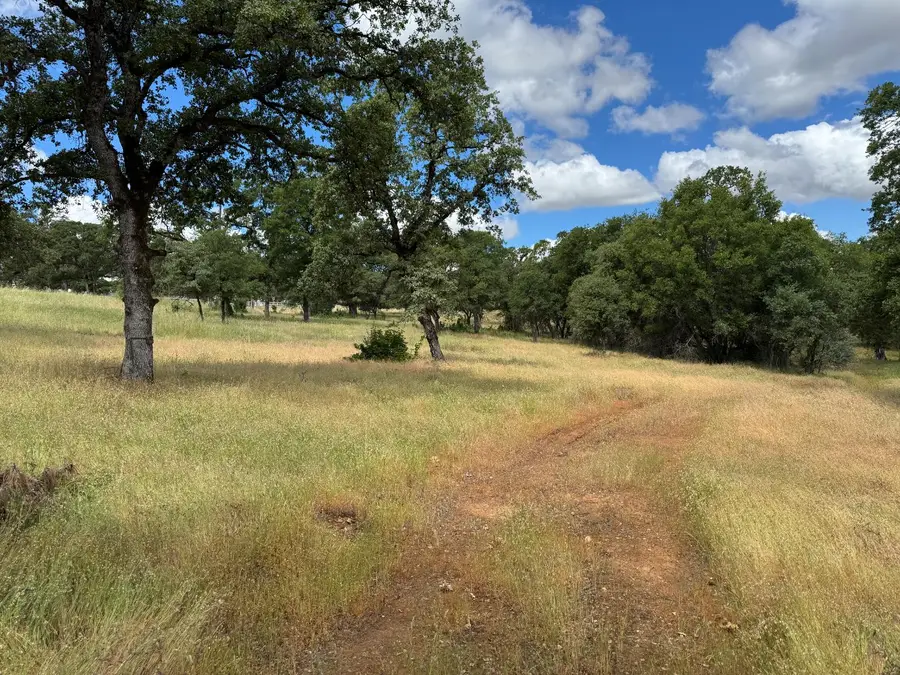 7 Wades Way, Browns Valley, CA 95918 - #2