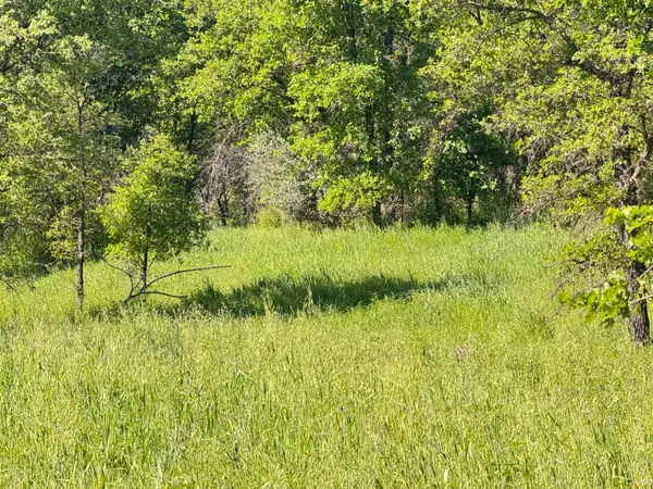 0 Hwy 16, Guinda, CA 95606