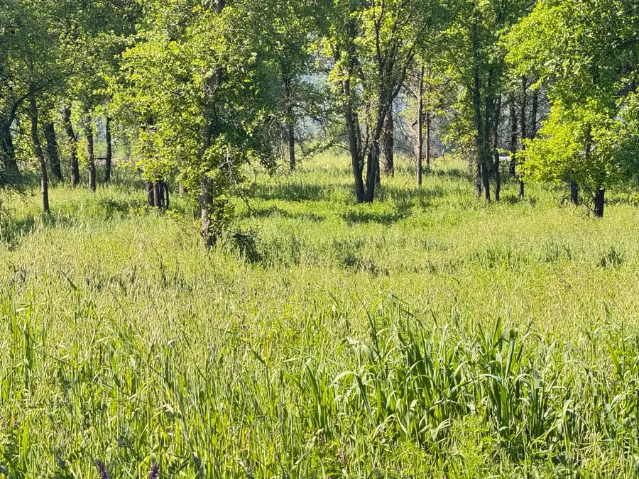 0 Hwy 16, Guinda, CA 95606 - #2