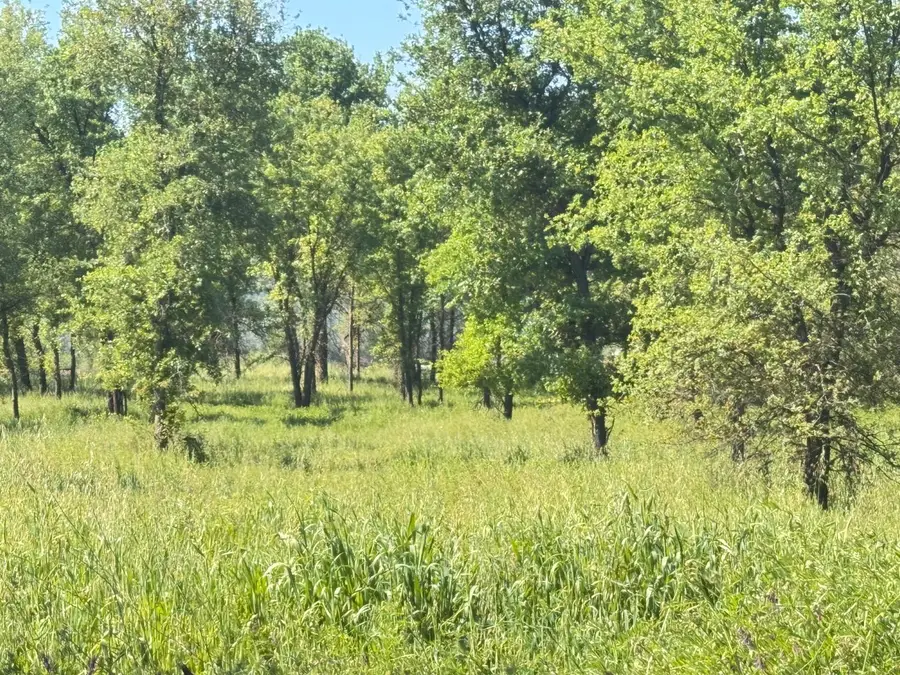 0 Hwy 16, Guinda, CA 95606 - #3