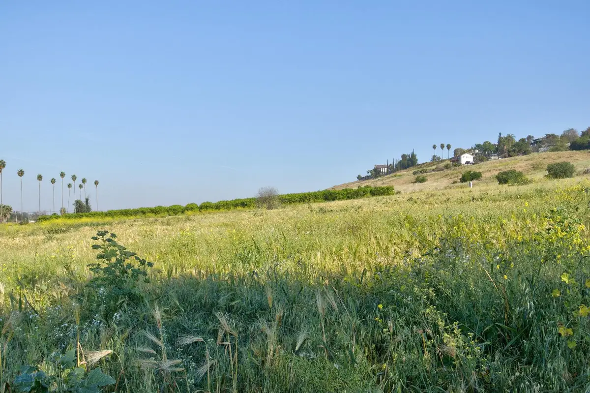 0 N Main, Porterville, CA 93257 - #1