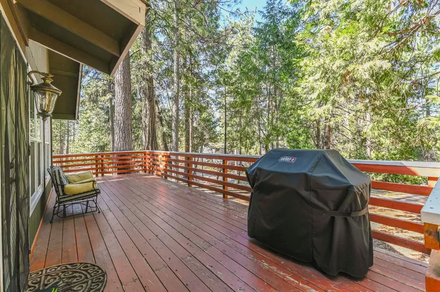 18190 N Meadow Drive, Pioneer, CA 95666 - #3