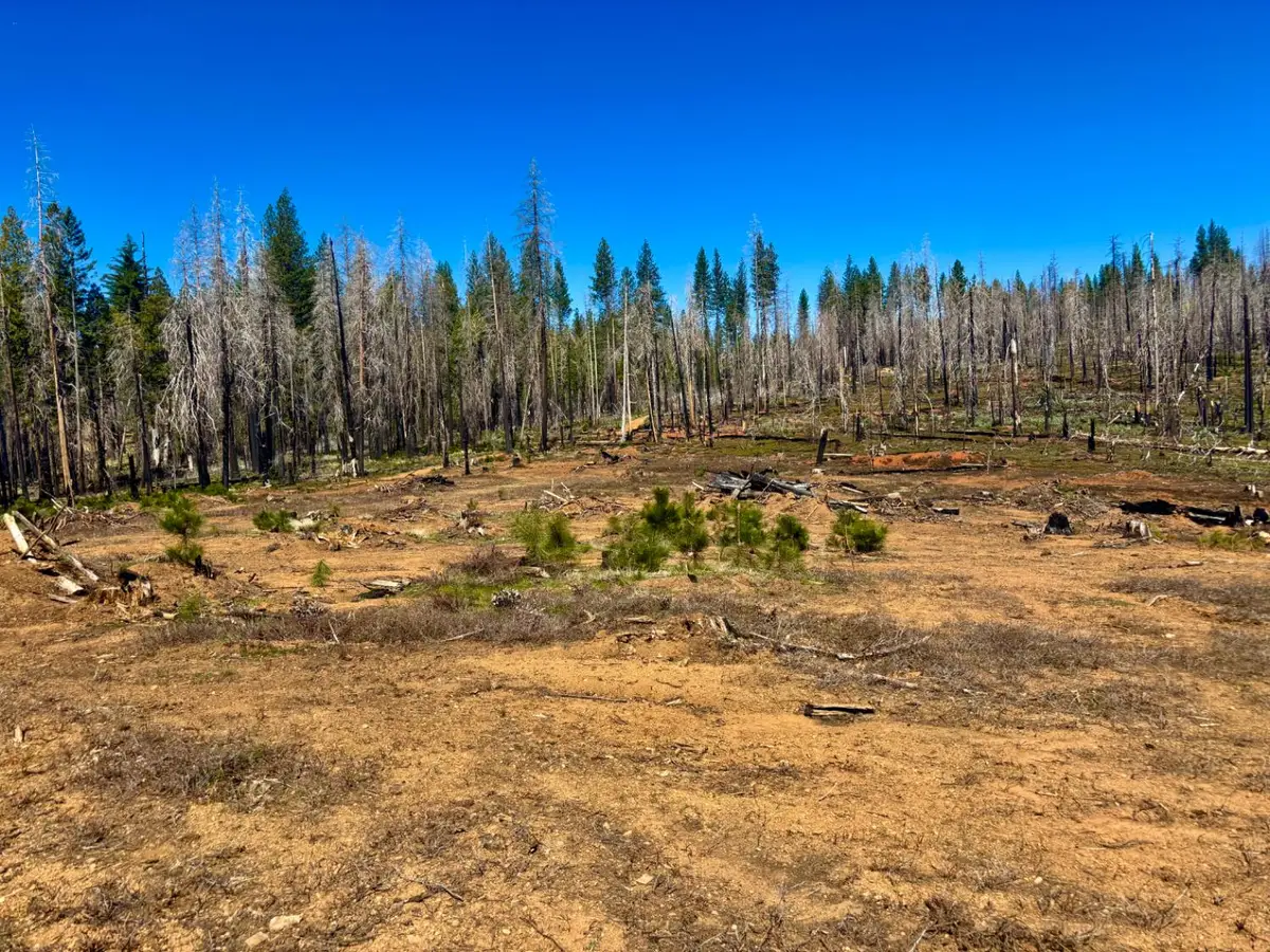 0 3.4 Ac Huggy Bear Lane, Grizzly Flats, CA 95636 - #1