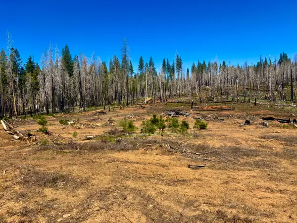0 3.4 Ac Huggy Bear Lane, Grizzly Flats, CA 95636