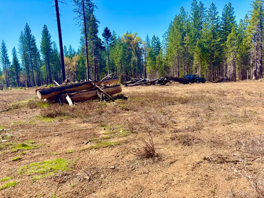 0 3.4 Ac Huggy Bear Lane, Grizzly Flats, CA 95636 - #2