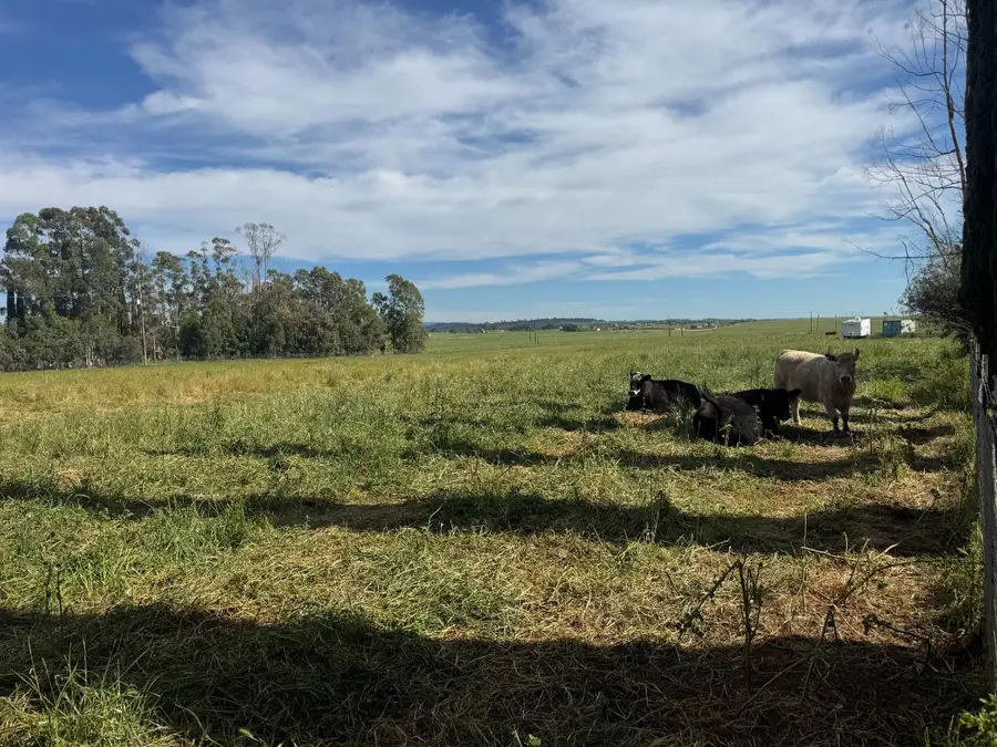 6924 Eric Lane, Wheatland, CA 95692 - #2