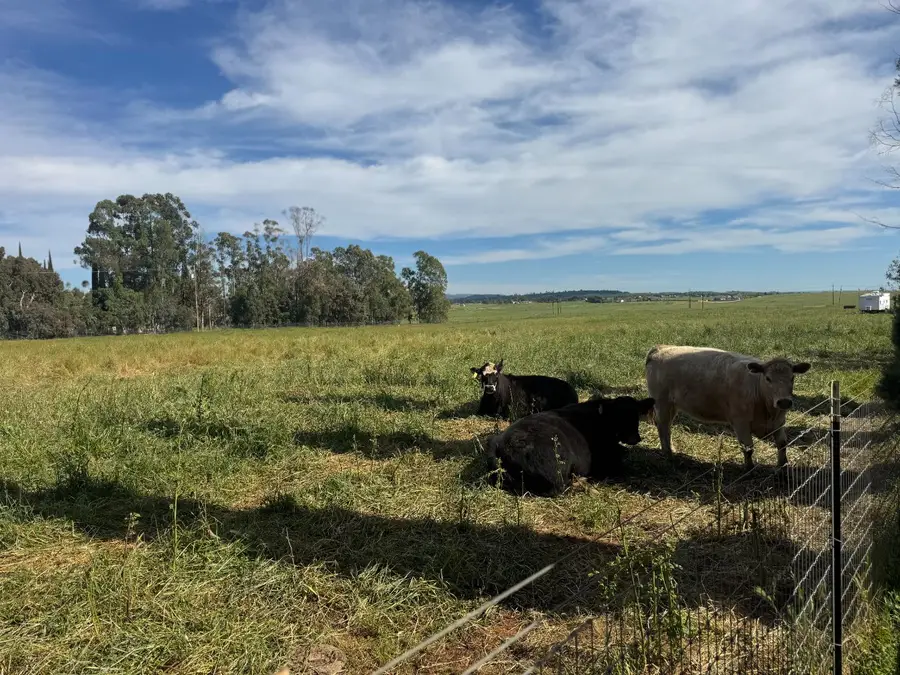 6924 Eric Lane, Wheatland, CA 95692 - #3