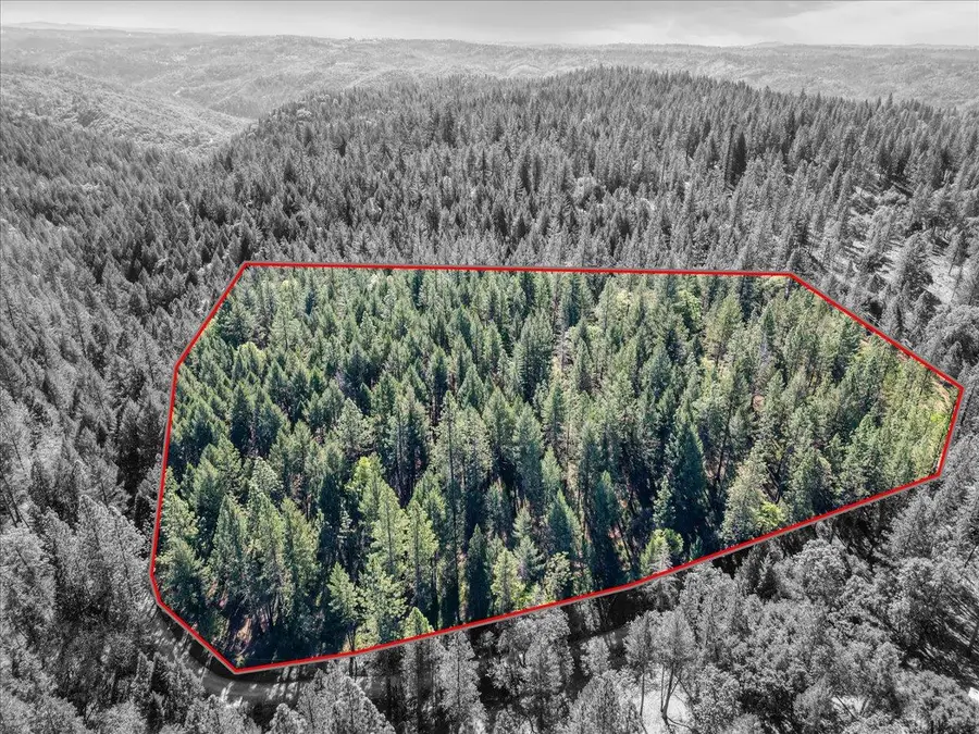 6400 Shoo Fly Road, Placerville, CA 95667 - #2