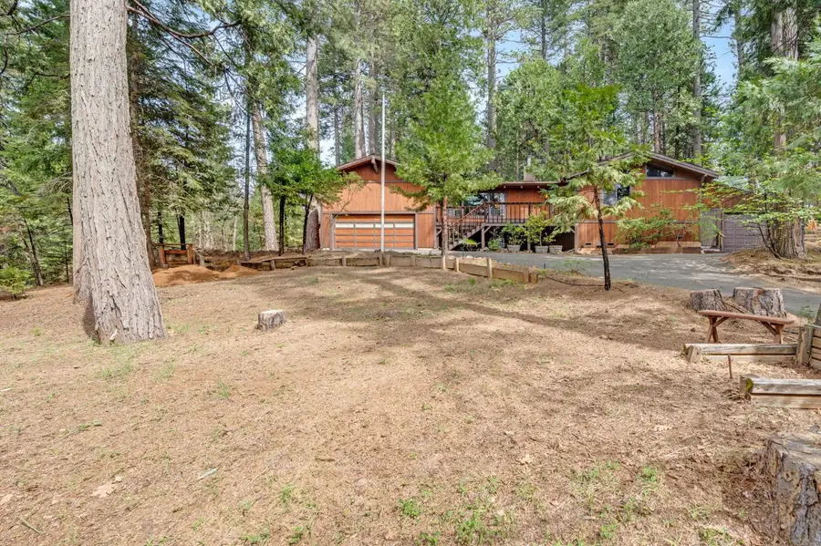 4949 Steelhead Lane, Pollock Pines, CA 95726 - #2