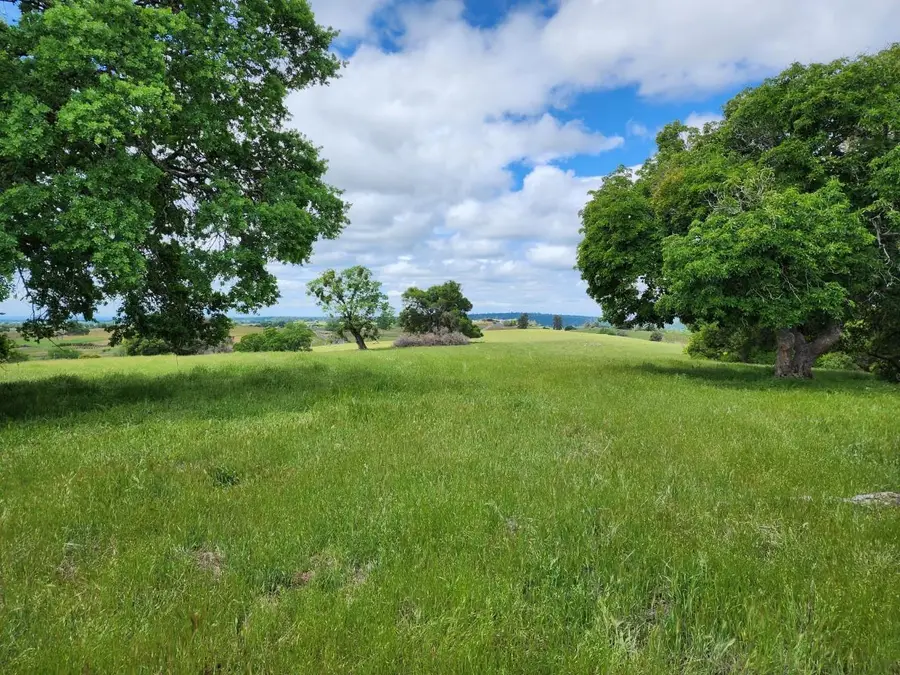 11777 Shenandoah Road, Plymouth, CA 95669 - #2