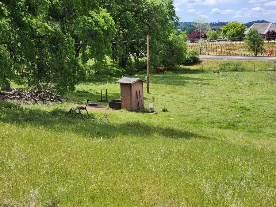 11777 Shenandoah Road, Plymouth, CA 95669 - #3