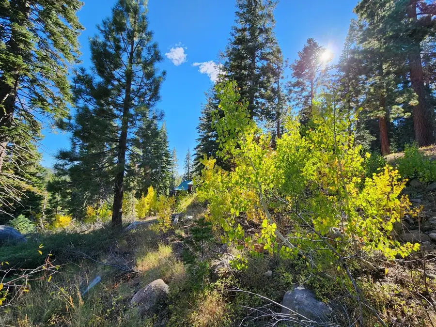 148 John Ebbetts Road, Bear Valley, CA 95223 - #2