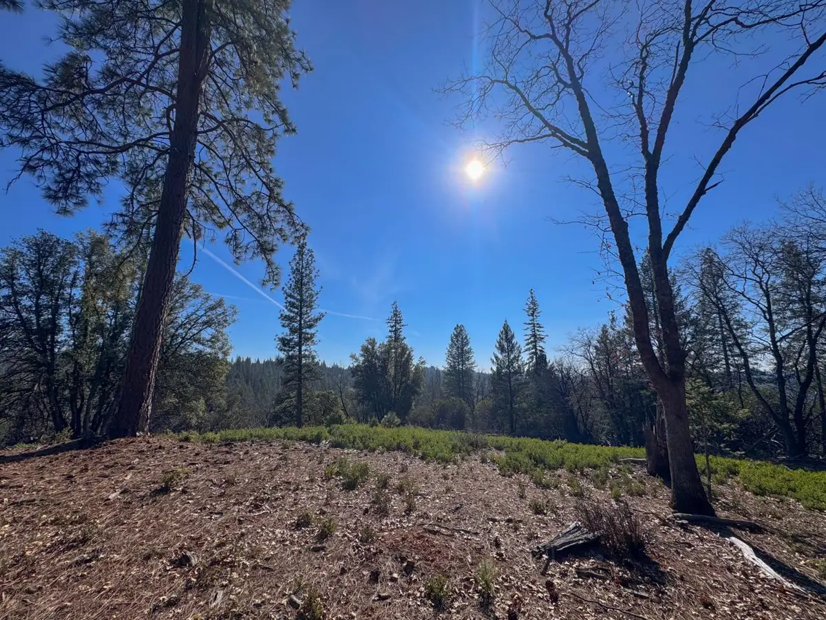 17414 You Bet Road, Grass Valley, CA 95945 - #1