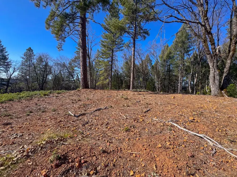 17414 You Bet Road, Grass Valley, CA 95945 - #2