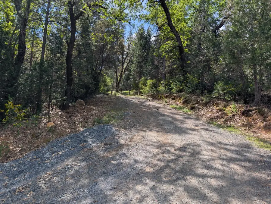 15405 Mcelroy Road, Meadow Vista, CA 95722 - #3