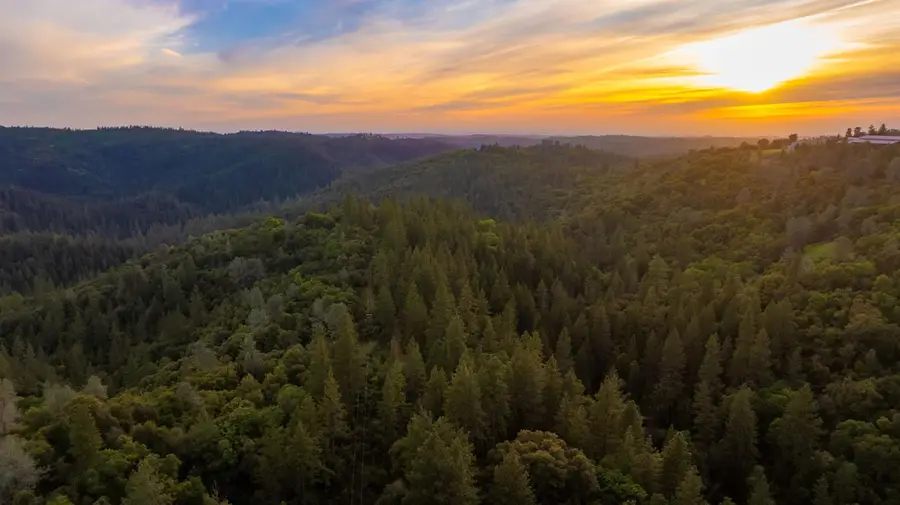 16480 Ponderosa Way, Volcano, CA 95689 - #2