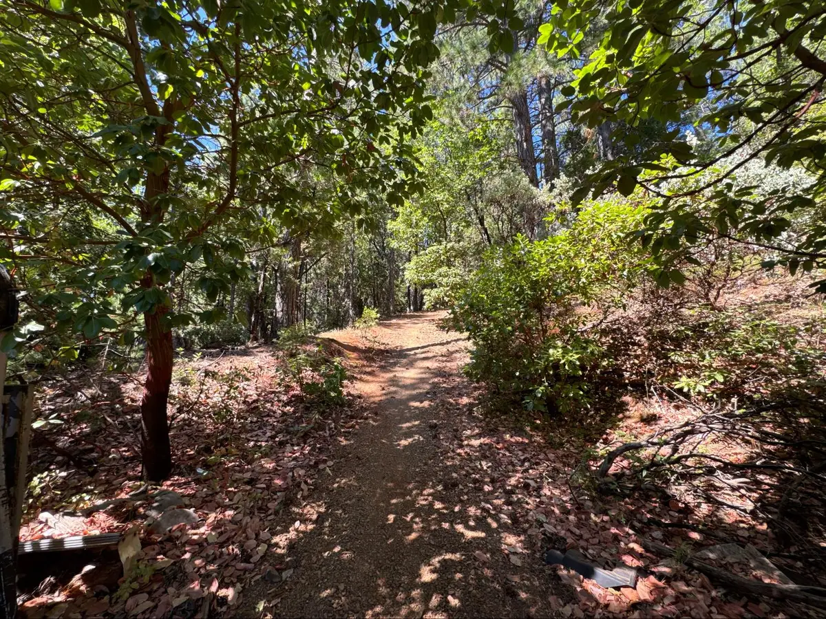 16704 New York House Road, Brownsville, CA 95919 - #1