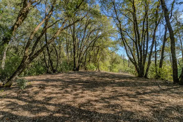 16490 Ponderosa Way, Volcano, CA 95689