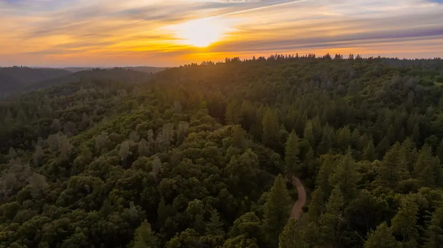 16490 Ponderosa Way, Volcano, CA 95689 - #2