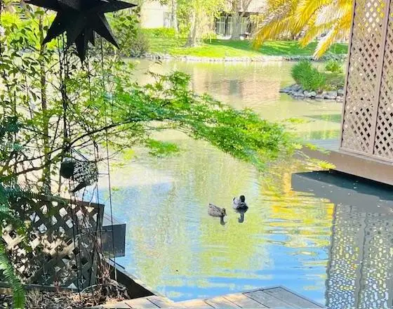 2424 Larkspur Lane #217, Sacramento, CA 95825 - #2