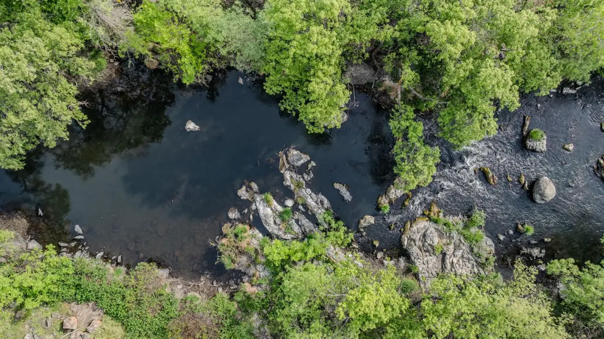 6647 Cane Lane, Valley Springs, CA 95252 - #1