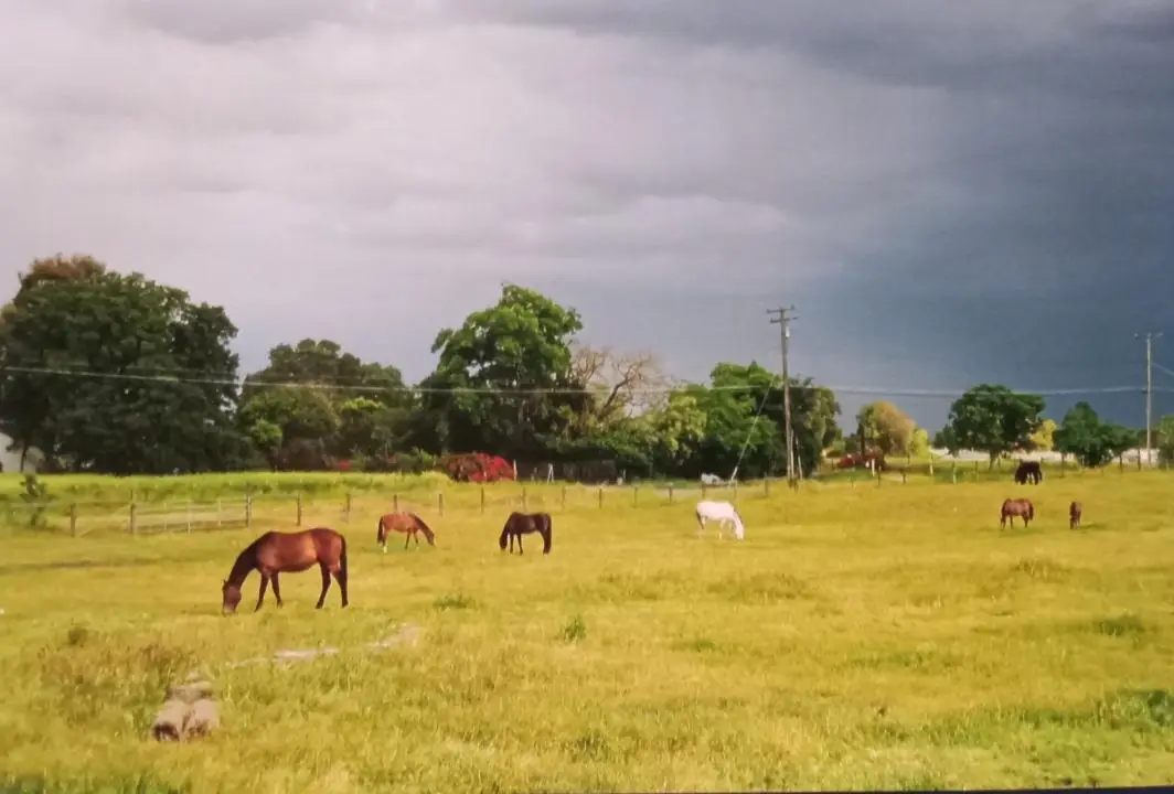 0 20th Street, Rio Linda, CA 95673 - #1