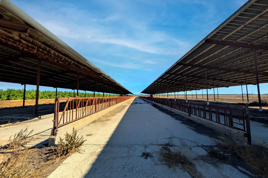 19542 N Jack Tone Road, Lodi, CA 95240 - #3