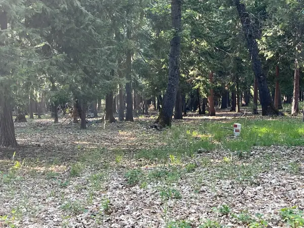 13117 Madrone Forest Drive, Nevada City, CA 95959