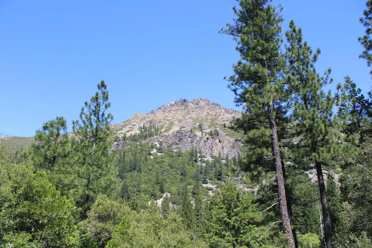 558 Brady Dr., Sierra City, CA 96125 - #1