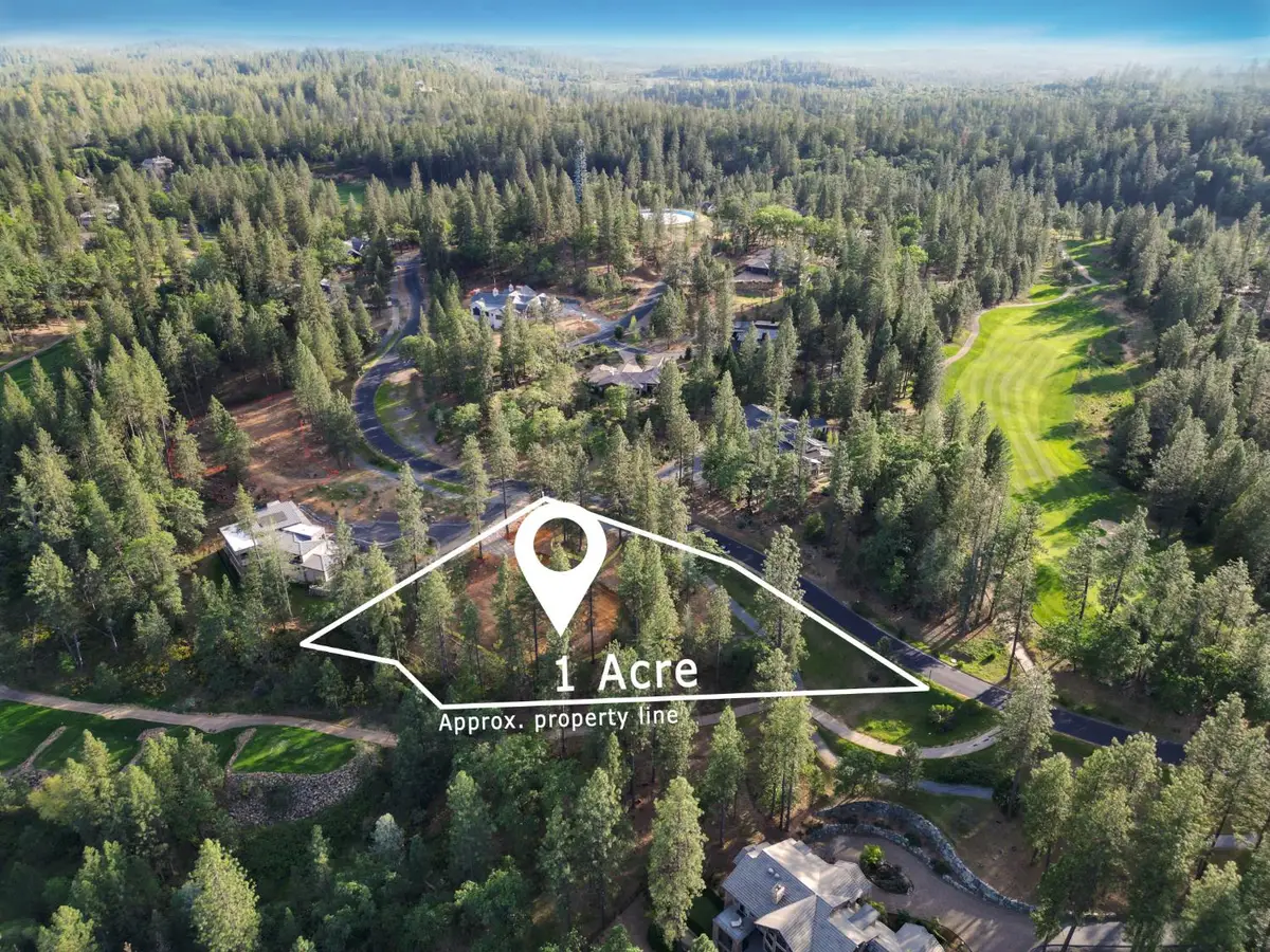 1682 The Point Road, Meadow Vista, CA 95722 - #1