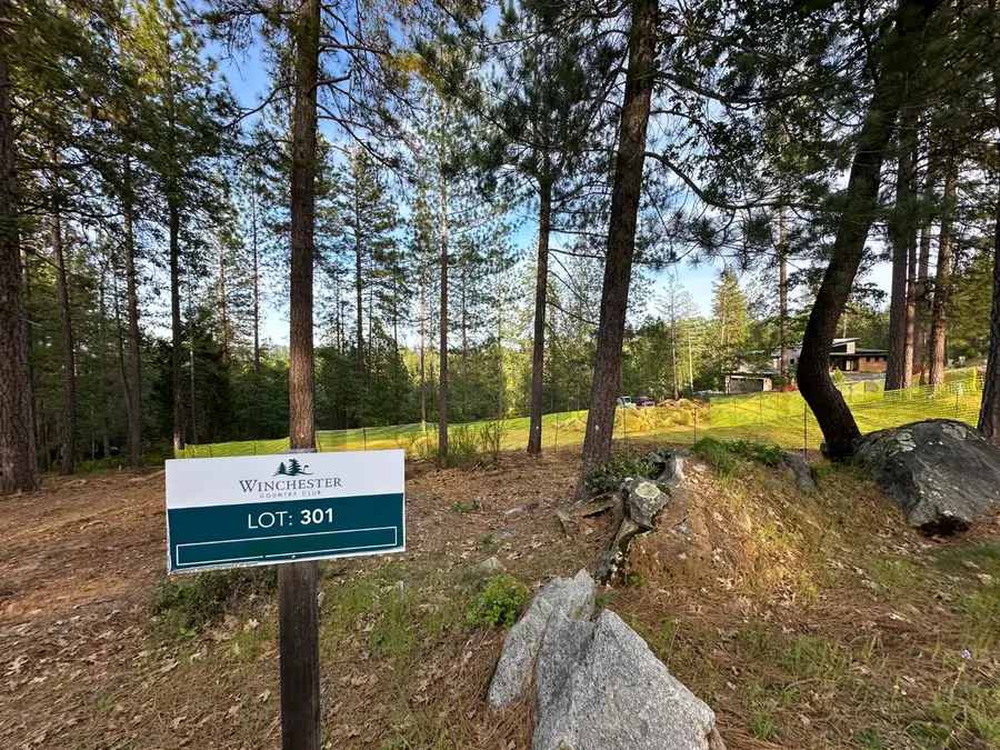 1682 The Point Road, Meadow Vista, CA 95722 - #3