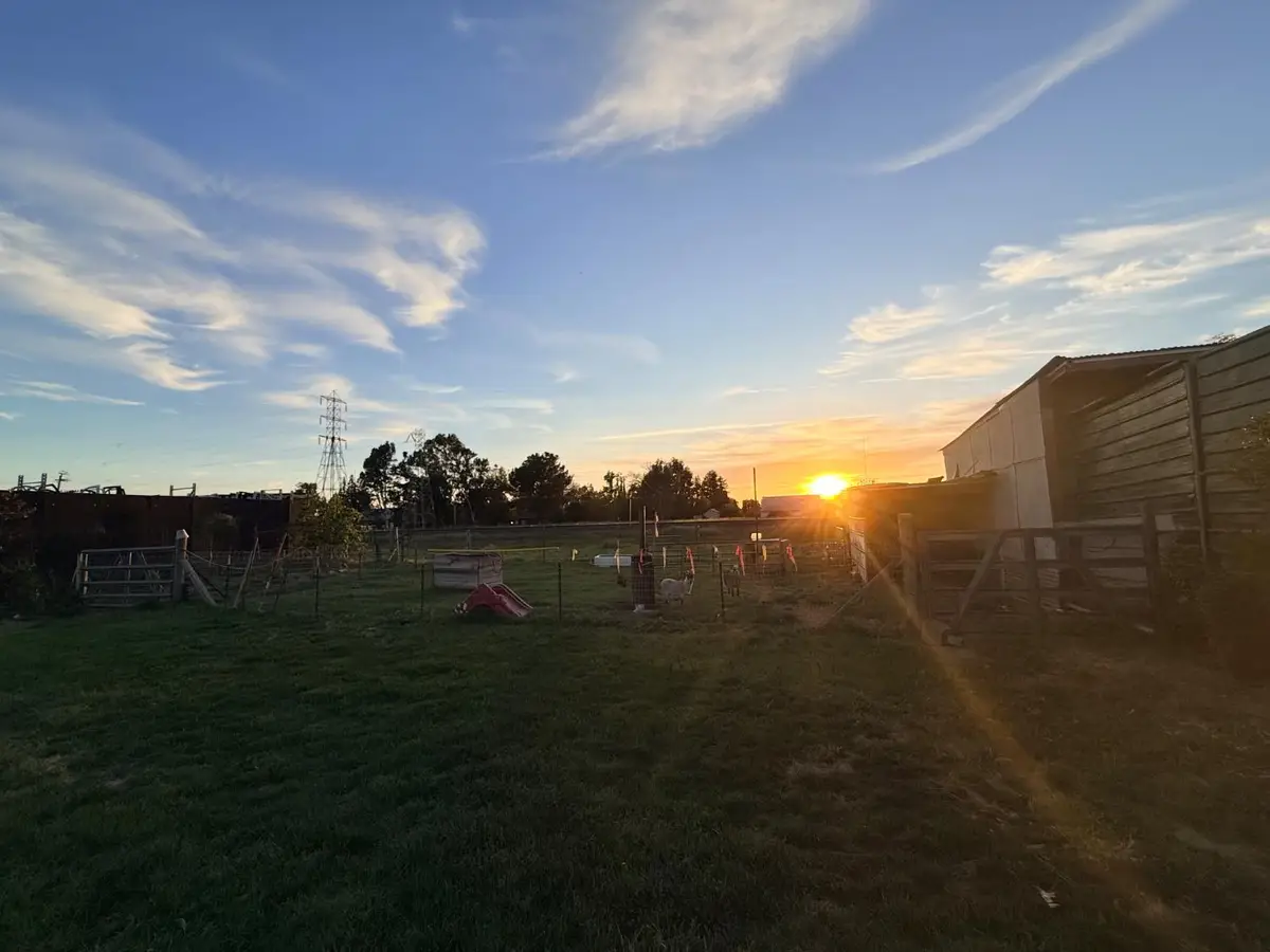 2578 Nicolaus Avenue, East Nicolaus, CA 95659 - #1