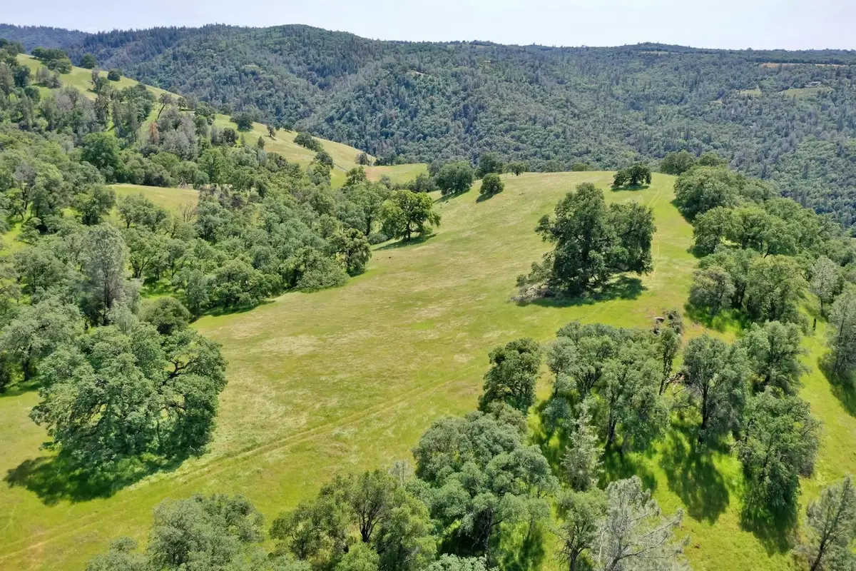 0 Bayne Road, Placerville, CA 95667 - #1