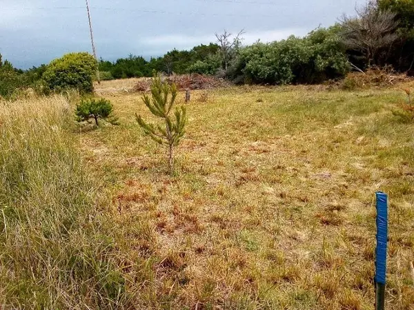 235 Nemeth, Crescent City, CA 95531