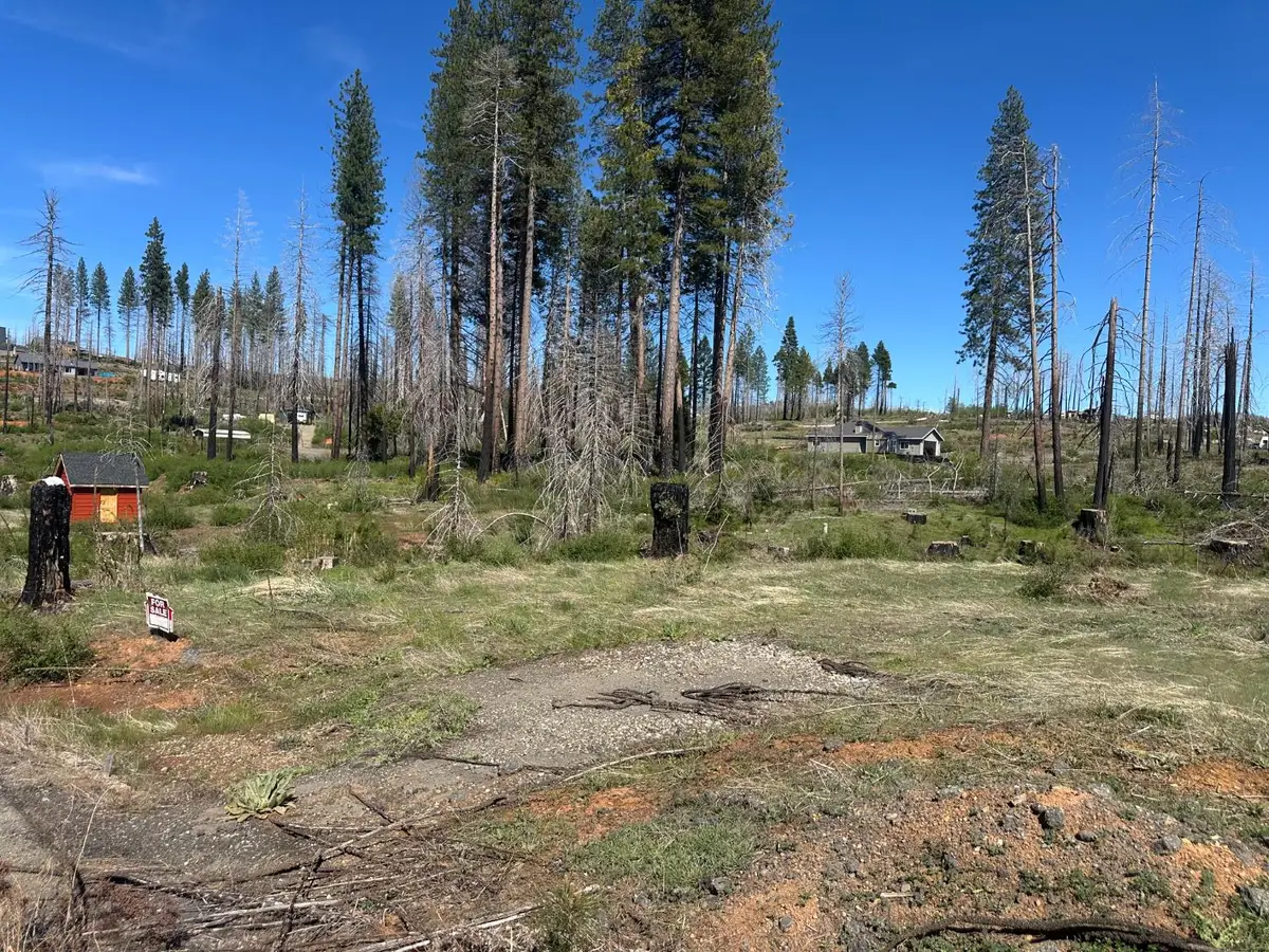 5154 Evergreen Drive, Grizzly Flats, CA 95636 - #1