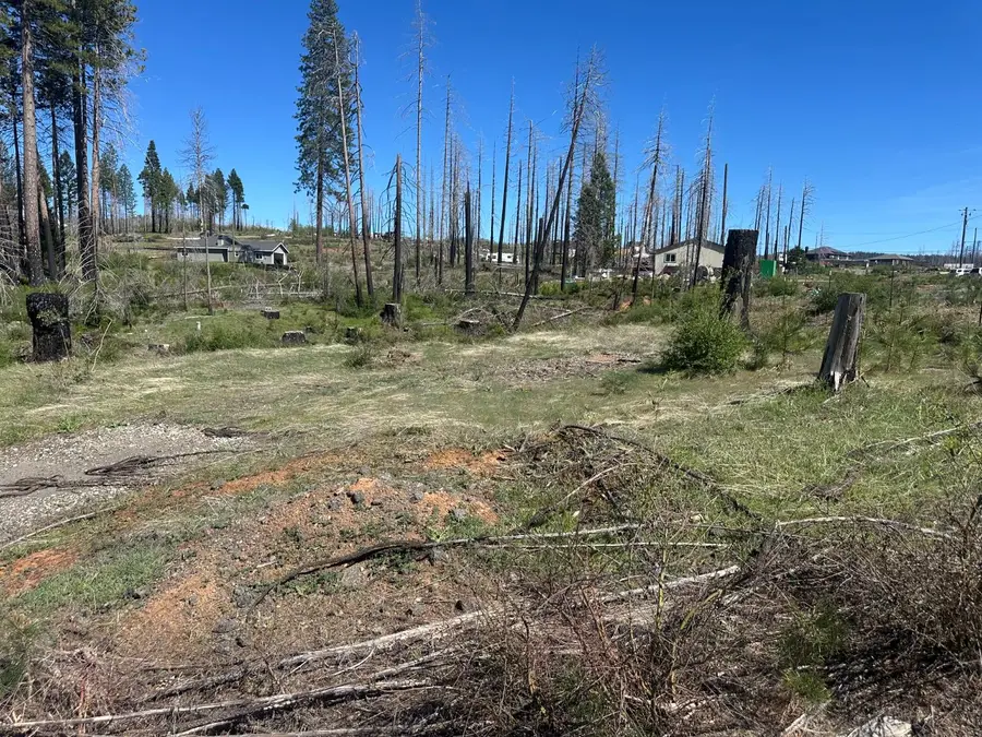 5154 Evergreen Drive, Grizzly Flats, CA 95636 - #2