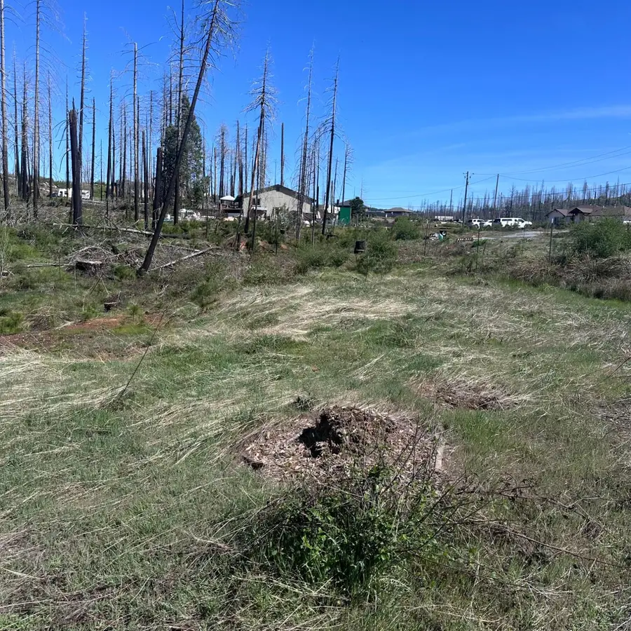 5154 Evergreen Drive, Grizzly Flats, CA 95636 - #3