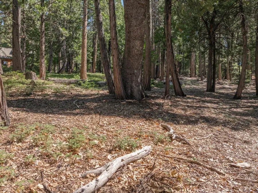 926 Shoshone, Camp Connell, CA 95223 - #2