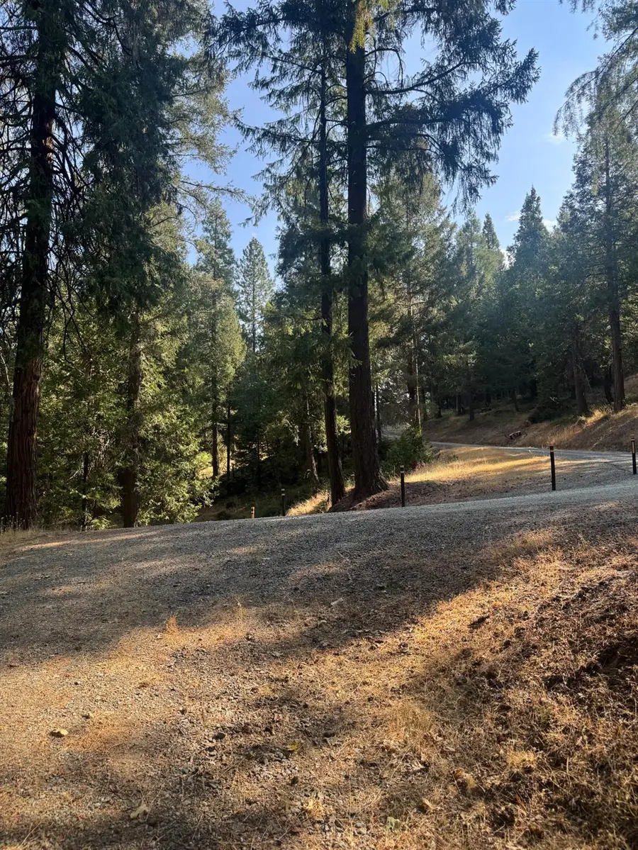 4920 Arctic Lane, Grizzly Flats, CA 95684 - #3