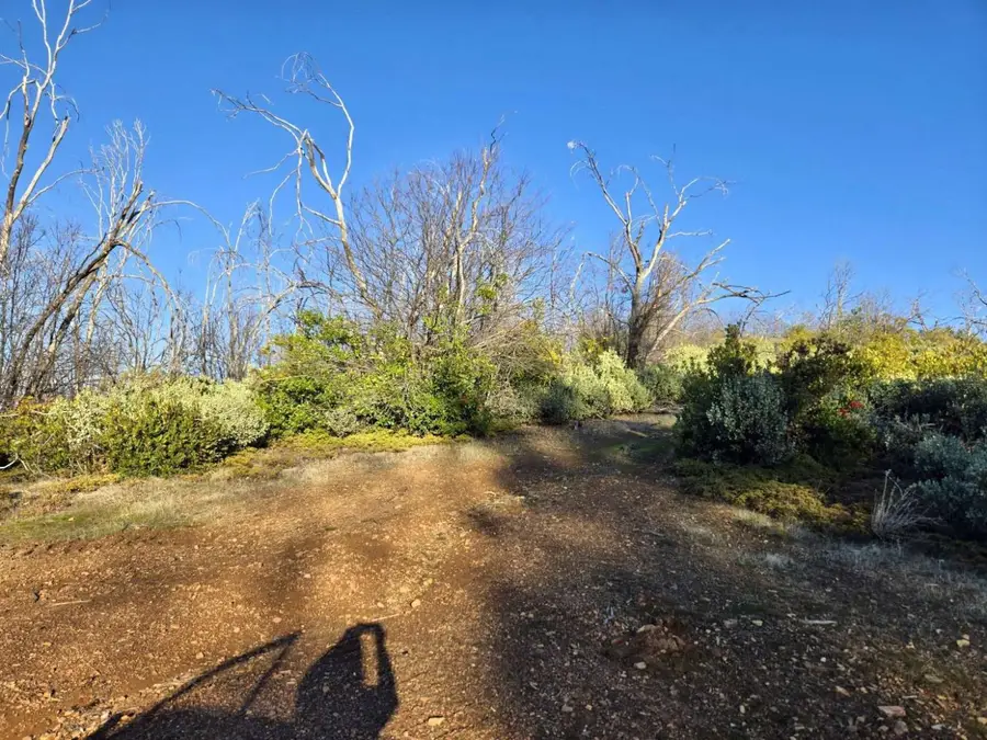 0 Doster Road, Mountain Ranch, CA 95246 - #2