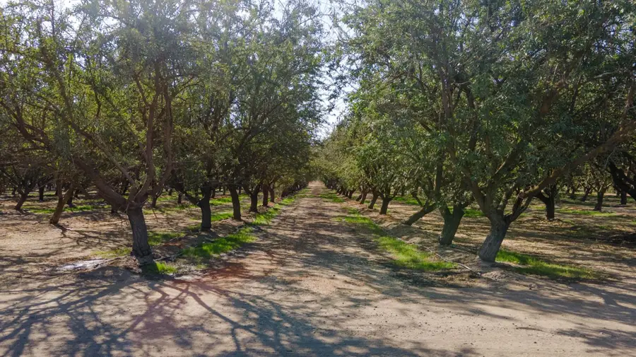 1 Buchanan Hollow Road, Le Grand, CA 95333 - #3