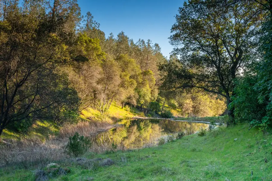 21041 Dalzell Road, Smartsville, CA 95977 - #2