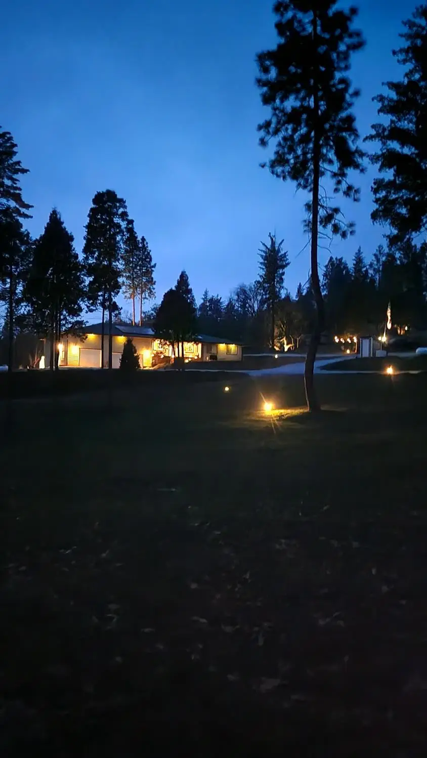 5999 Sugar Pine Drive, Coulterville, CA 95311 - #1