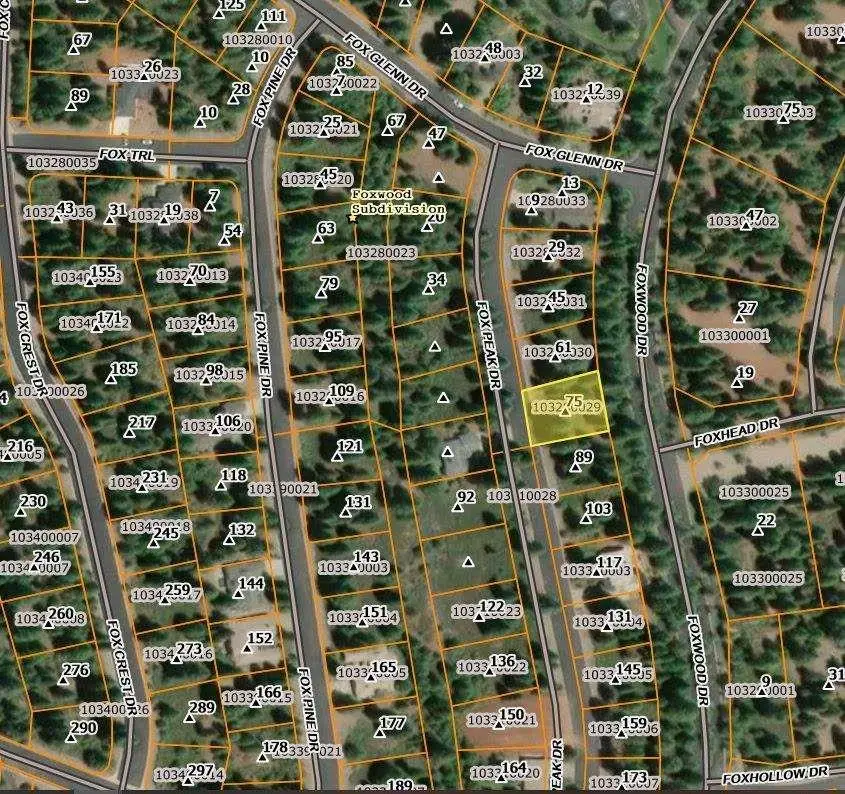 75 Fox Peak Drive, Westwood, CA 96137 - #2