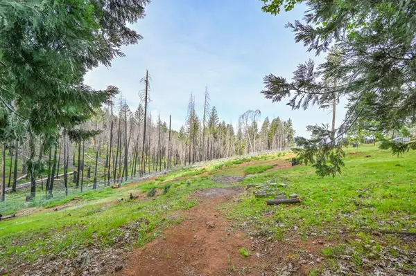 5194 Woodhaven, Grizzly Flats, CA 95636