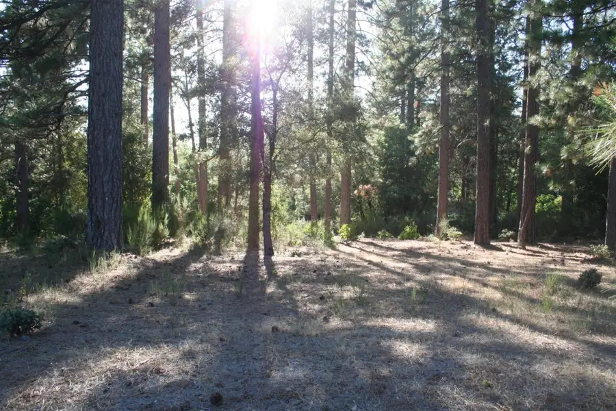 651 Chief Kelly Drive, Nevada City, CA 95959 - #2