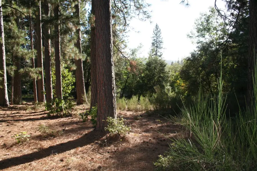 651 Chief Kelly Drive, Nevada City, CA 95959 - #3