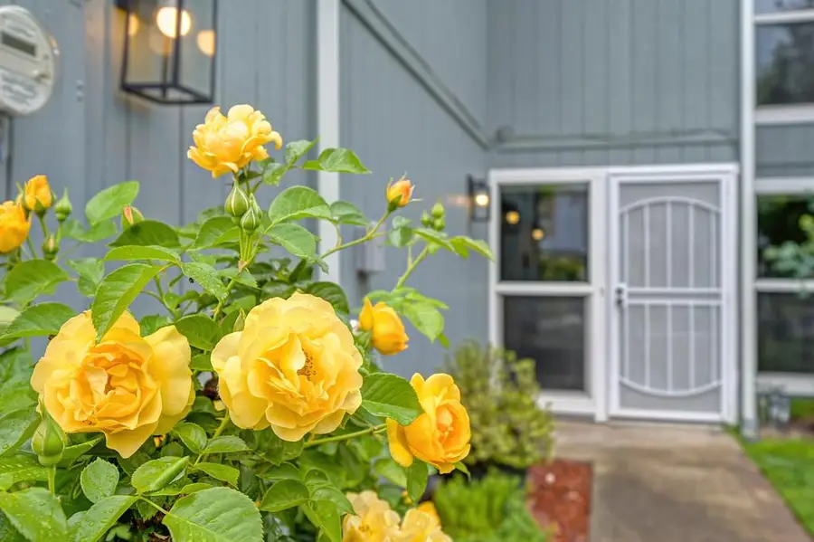 3335 Village Court, Cameron Park, CA 95682 - #3